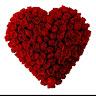 Nigar Fatima - @nigar_fatima22 - TikTok
