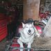 Nigel Aitchison - Facebook