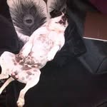 Nigel Allan Smith - @nigel.smith.90260 - Instagram