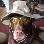 Nigel Shambler - @nigelshambler - Instagram