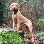 Nigel Appleton - @appleton.nigel - Instagram