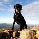 Nigel Atkinson - @nigelthelimey - Instagram