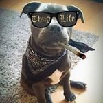 Nigel Atwell - @atwellnigel - Instagram