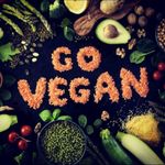 Diedre & Nigel - @theveganbackers - Instagram