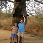 Nigel Bacon - @nigel15322 - Instagram