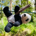 🐼🌱 - @nigelnobacon - Instagram