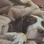 Nigel Bailey - @dixon.nigel - Instagram