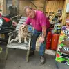 Dazzle garden centre kilrea - @nigel.bamford - TikTok
