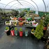 Nigel Bamfolrd - @dazzlegardencentre - TikTok