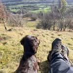 Nigel Bamford - @nigel.bamford.52 - Instagram