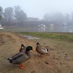Nigel Barry Trevor - @nigelbarrytrevor - Instagram