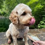 Nigel Bates - @nigelbates57 - Instagram