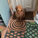 Nigel Bates - Facebook