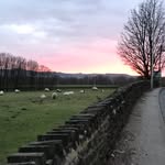 Nigel Bates - @storkscityfan - Instagram
