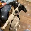 Neil Baxter - @neil.baxter1 - TikTok