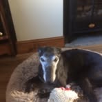 Nigel Baxter - Facebook