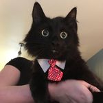 Nigel-Baxter - @nigelbaxter_theboy - Instagram