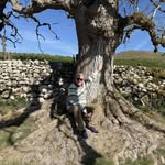 Nigel Beaumont - @nigel.beaumont.52 - Instagram