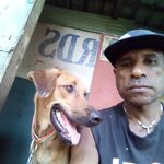 Benson nigel - @bensonnigel7 - Instagram