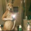 Ángel Bocanegra 4640 - @ngel.bocanegra.46 - TikTok