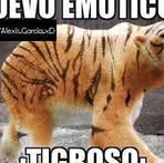 Ninel Paola Bocanegra Cruz - Facebook
