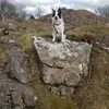 nigelboyce311 - @nigelboyce311 - TikTok