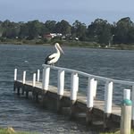 Nigel Broadbridge - @broadbridgenigel - Instagram