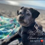 Nigel Browne - @nigelbrowne68 - Instagram