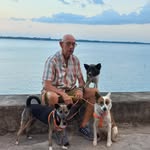Nigel Bruce E Clements - @nige4for4paws - Instagram