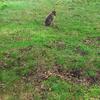 nigelburrows195 - @nigelburrows195 - TikTok
