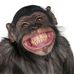 Nigel Clayton - Facebook