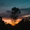 Nigel Cross - @user7452587079103 - TikTok
