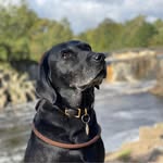 Nigel Cross - @nigelcross176 - Instagram