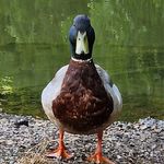 Nigel Davis - @papa_sloth_76 - Instagram