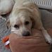 Nigel Dunbar - Facebook