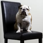 Nigel Franklin - @southbaynigel - Instagram