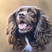 Nigel Franklin - Facebook