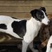 Nigel Freeman - Facebook