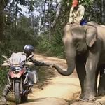 Nigel Freeman - @gs1250.2022 - Instagram