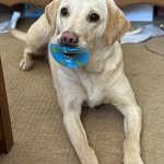 Nigel Freeman - @niglet64 - Instagram