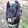 nigelfreeman47 - @nigelfreeman47 - TikTok