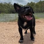 Nigel Hall - @nigel.hall.39142 - Instagram