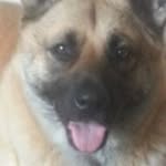 Nigel Hall - @nigel.hall.712 - Instagram
