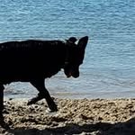 Nigel Hall - @nigel.hall999 - Instagram