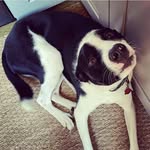 Nigel Higgins - @nigelhiggins17 - Instagram