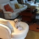 Nigel Holmes - @nigel.holmes.16 - Instagram