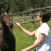 Nigel Holmes - @nigel.holmes8 - TikTok