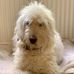 Nigel Holmes - Facebook