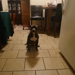 Nigel Johnson - Facebook