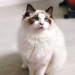 阿杰 - @nigel______lee - Instagram